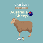 SHEEP